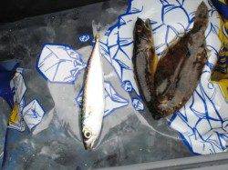 貝塚港から出発!!　１９日泉大津店お昼のＲＴ