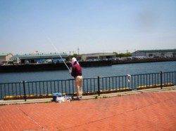 唐揚げにどうぞ♪　泉大津RT　23日昼