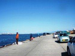 風が強いのですが!!　泉大津RT　7日あさ