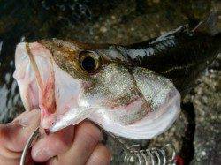 【南西の風が・・・】南芦屋浜リアルタイム