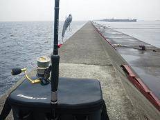 武庫一でメジロ！シーバスも狙える♪