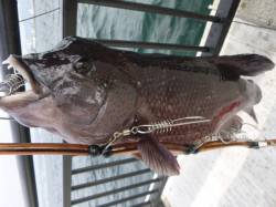 神戸空港ＲＴ　今日もカンダイ！