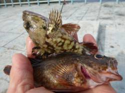 北公園　小野浜ＲＴ