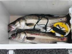 貝塚港から出発!!　１９日泉大津店お昼のＲ…