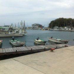 イワシ回遊＆小アジに小サバも★　小島漁港RT