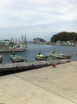 イワシ回遊＆小アジに小サバも★　小島漁港RT