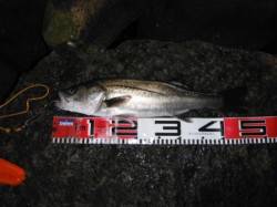 【雨が降っても大丈夫♪】南芦屋浜