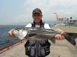 【イカの気配も】鳴尾浜ＲＴ（２１日）