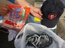 兵突カタクチイワシ！