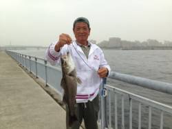 【ぶっこみでハネ64ｃｍ！】南芦屋浜ベラン…