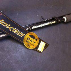 武庫川～西宮周辺、バチ抜け絶好調！