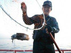 【むこいちスルメきた！】むこがわＲＴ