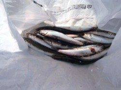 倉庫前で好調キープ♪泉大津RT。夕方