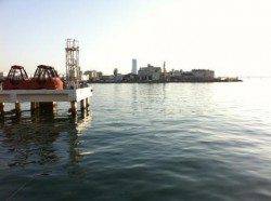 泉佐野食コン シュート付近でハネの釣果