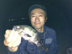 メバリング まだまだ釣れますin垂水一文字