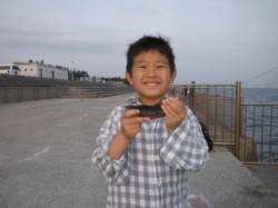 【カタクチイワシ入れ食いモード突入！】