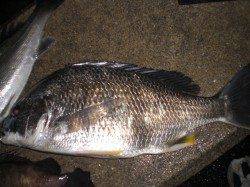 夜の兵突バツグンの楽しさ！