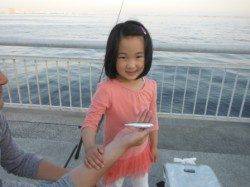 【夕方狙える！スルメ＆コウイカ♪】南芦屋浜