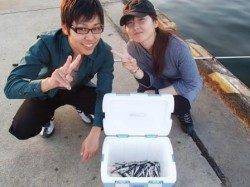 久し振りの大漁!!泉大津周辺１２日夕方Ｒ