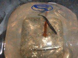 兵突のサビキ釣り情報