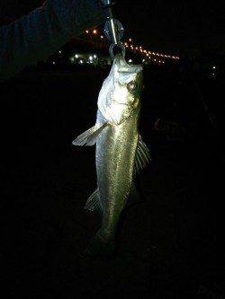 【貝塚港】人と違うカラーに勝機あり？！