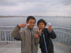 【カタクチイワシ＆スルメイカ♪良型ハネも！】