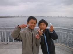 【カタクチイワシ＆スルメイカ♪良型ハネも！…