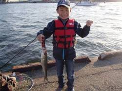 強風治まらずも…泉大津周辺７日夕方のエビ撒…