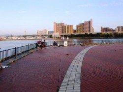 サビキ最新情報!! 泉大津店20日夕方RT