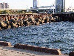 強風治まらずも…泉大津周辺７日夕方のエビ撒きハネ釣り