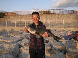 【エビ撒きで良型ハネＧＥＴ！】南芦屋浜