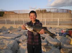 【エビ撒きで良型ハネＧＥＴ！】南芦屋浜