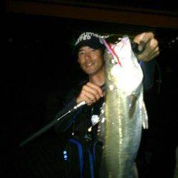 【時には遠投も必要】泉大津シーバス