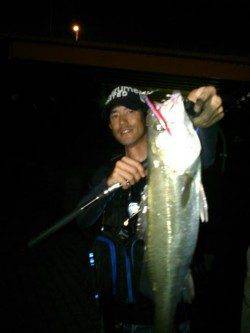 【時には遠投も必要】泉大津シーバス