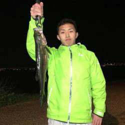 舞洲 ルアーでハネ40cm3匹＆メバル28…