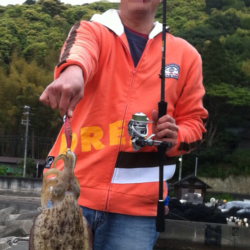 連日コウイカ…エギング釣行 in 上瀬