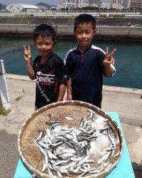 イワシが大漁ですよ〜　マリーナシティ海釣り公園