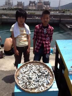 マリーナシティ海釣り公園　サビキで豆アジ＆…