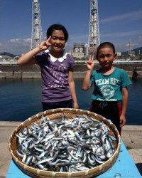ファミリーサビキ、イワシに混じり豆アジも♪マリーナ釣り公園