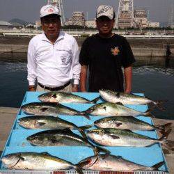 マリーナシティ海洋釣り堀 マダイに青物に賑わってます☆