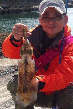 西三松　エギングでアオリイカ800g＆コウイカ2ハイ