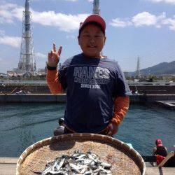 マリーナシティ海釣り公園　サビキでイワシ＆豆アジ大漁