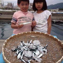 マリーナシティ海釣り公園 サビキでイワシ・投げでキス GWも楽しめます☆