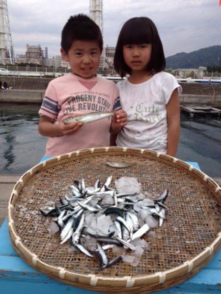 マリーナシティ海釣り公園 サビキでイワシ・…
