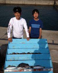 大物狙いで紀州釣り、チヌが釣れました★