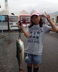 マリーナシティ海洋釣り堀 イワシをエサに青物ゲット