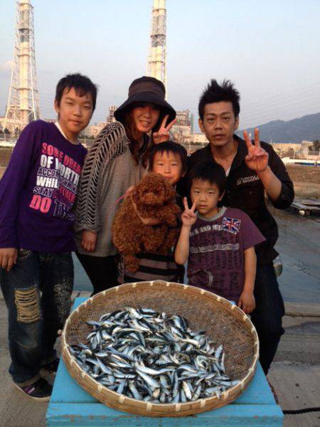 マリーナシティ海釣り公園 サビキでイワシ大…