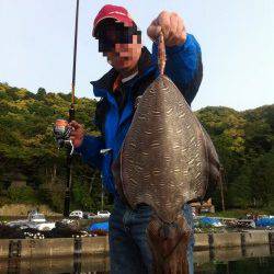 エギングでコウイカ、2kg級含めて、数釣り楽しめました！