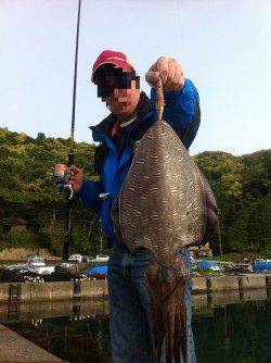 エギングでコウイカ、2kg級含めて、数釣り楽しめました！