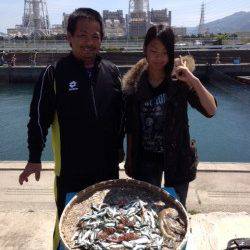 マリーナシティ海釣り公園、朝からイワシ好調！タコの釣果も♪